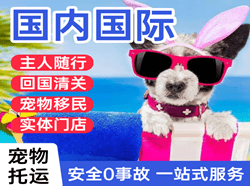 邯郸航空快递国际宠物托运 【国